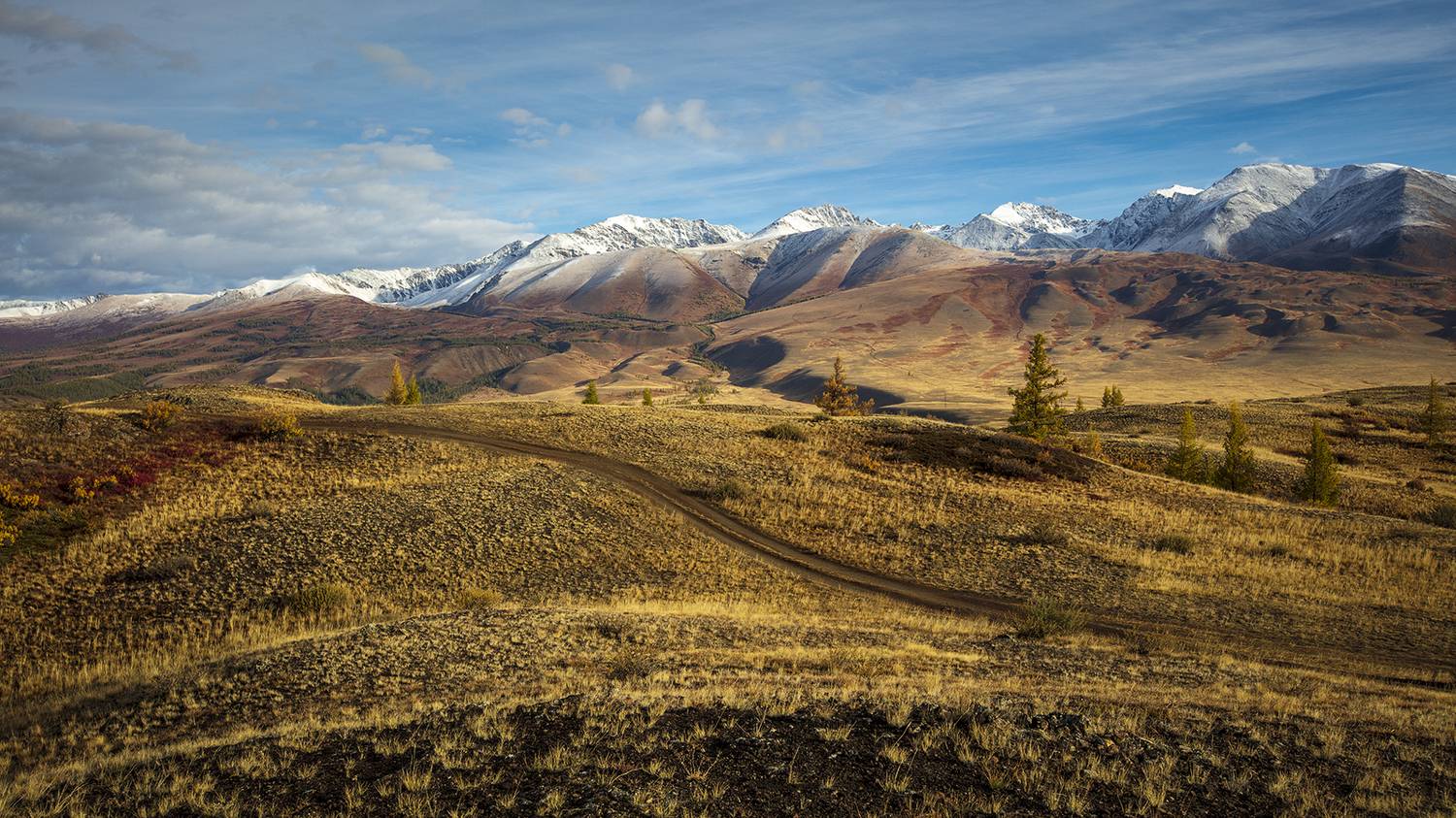 алтай, горный алтай, осень, пейзаж, природа, курай,, Сергей Шульга