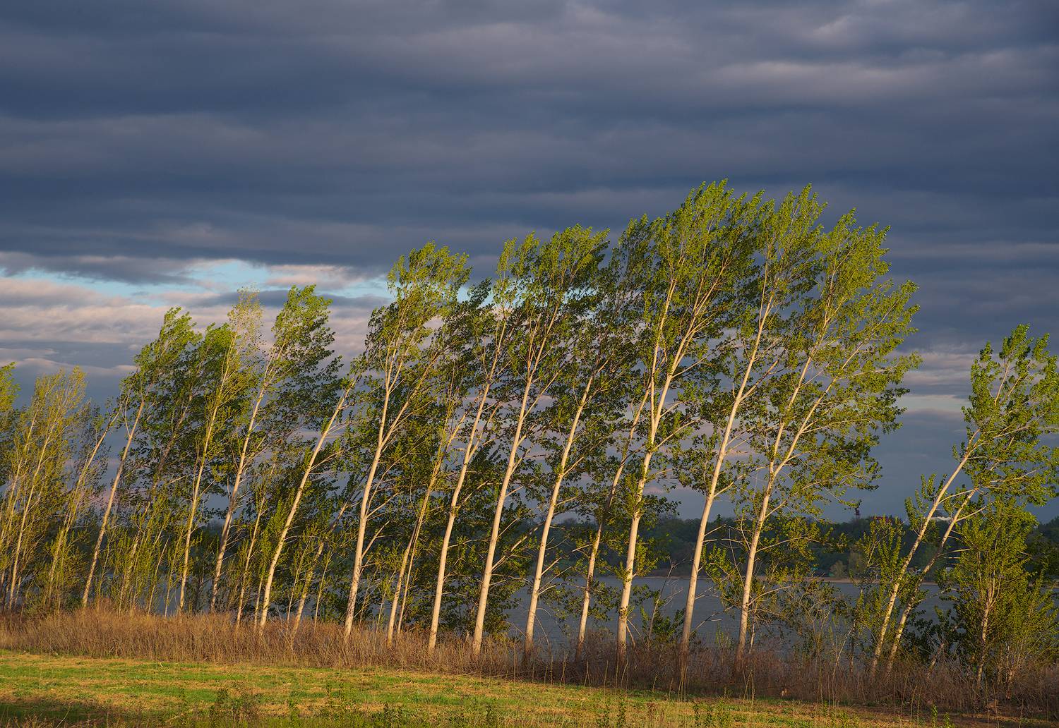 landscape, nature, Любослав Любомиров