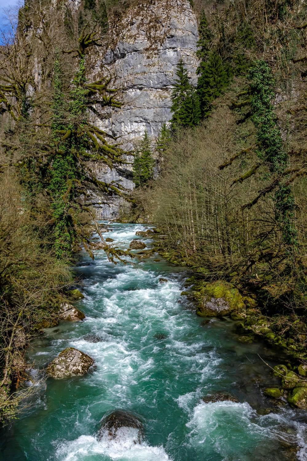 абхазия, пейзаж, природа, Rom@shkin