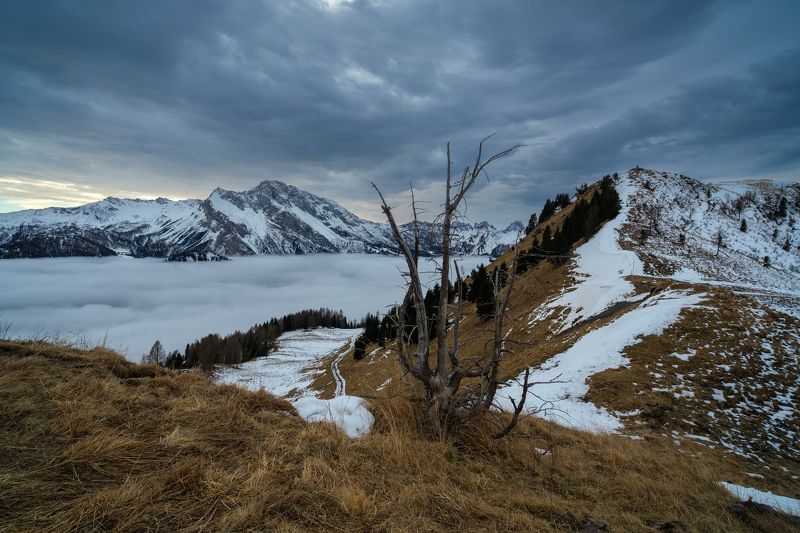 #nature, #туман, #лес, #oсень, #украина, #карпаты, #пейзаж, #закат, #туман, #солнце, #свет, #mountain range, #mountains, #туризм, #лес, #nature, #природа, одинокий фото превью