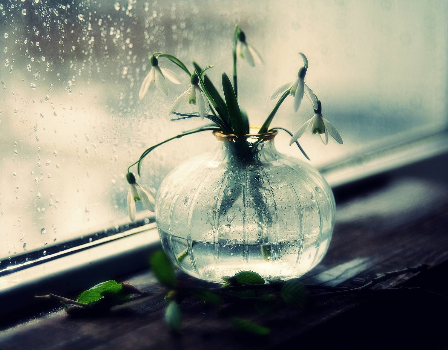 натюрморт,весна,цветы,подснежник,галантус, Наталия К