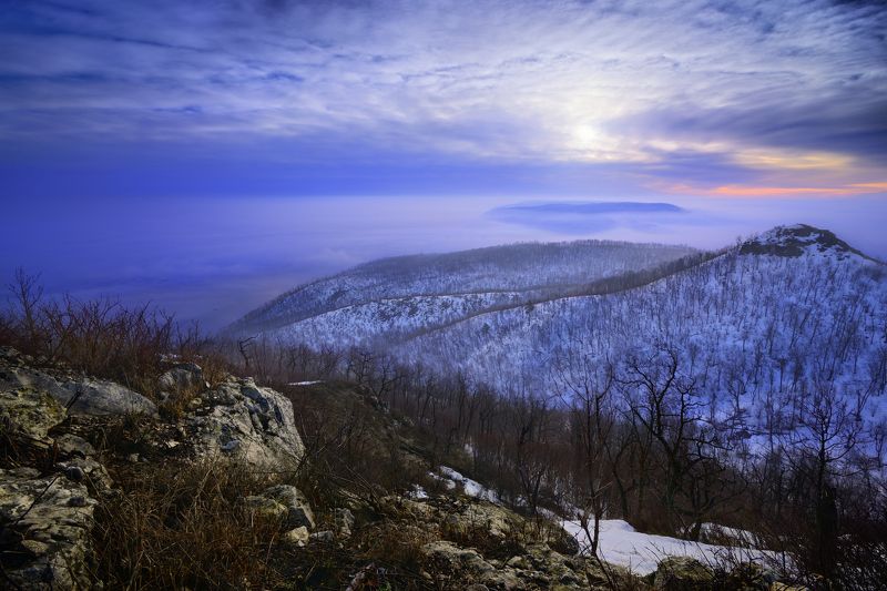 Туман. фото превью