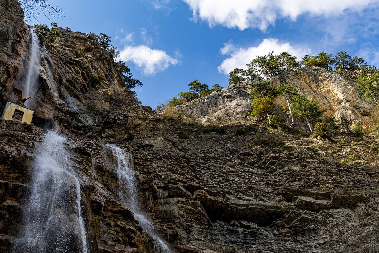 , Волынский Виктор