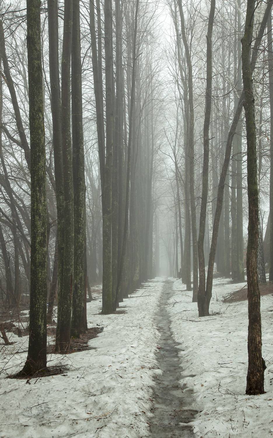 , Алексей Хахлов
