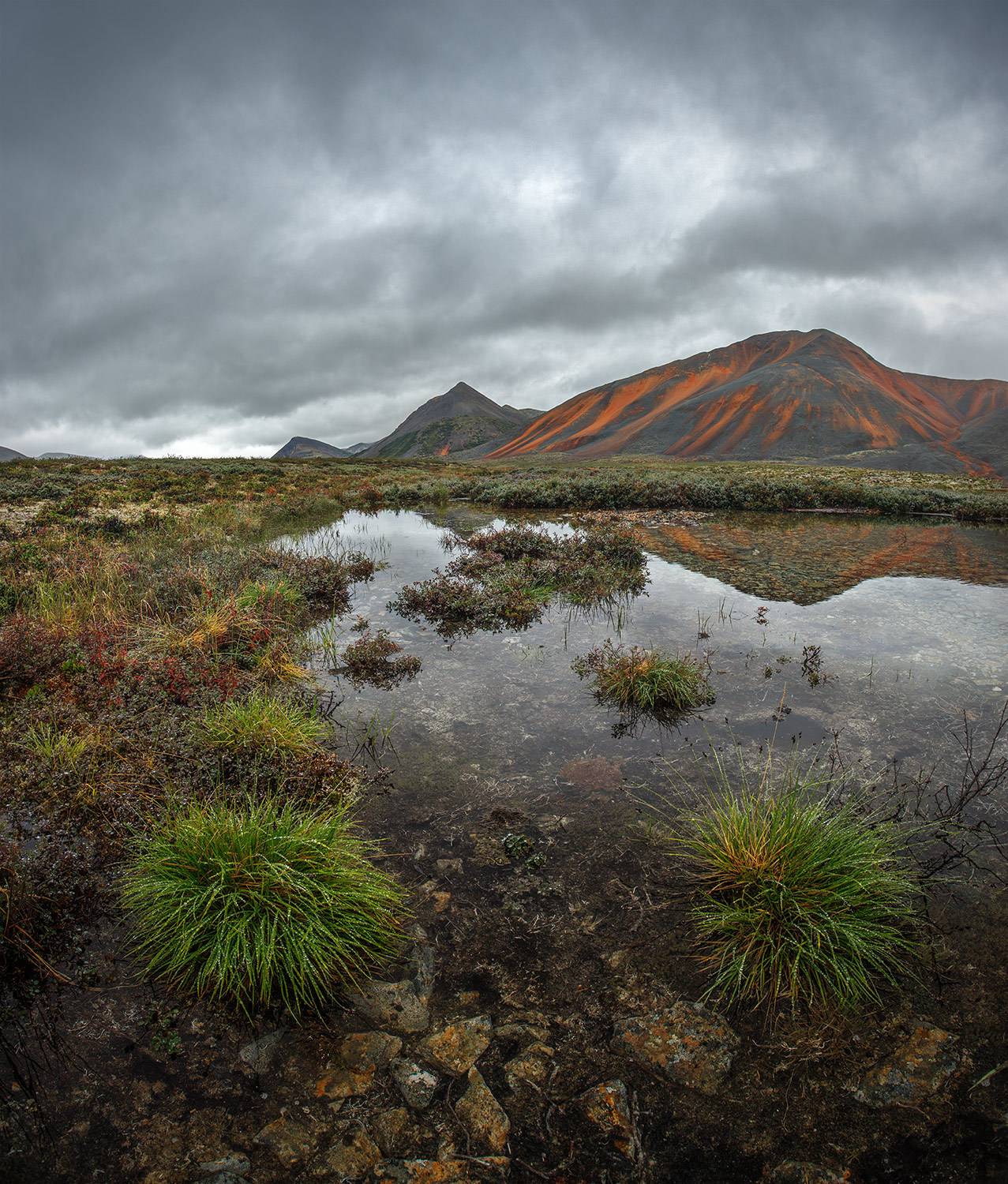, Андреев Николай