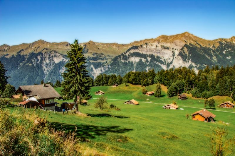 *** фото превью