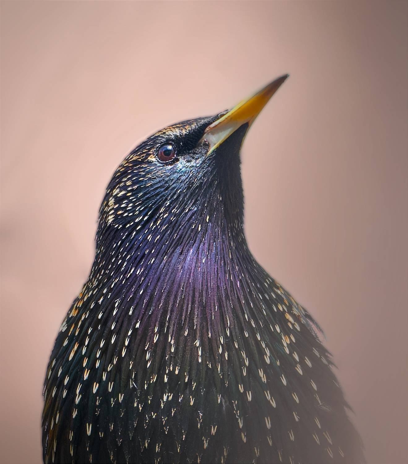 , Фото Александр