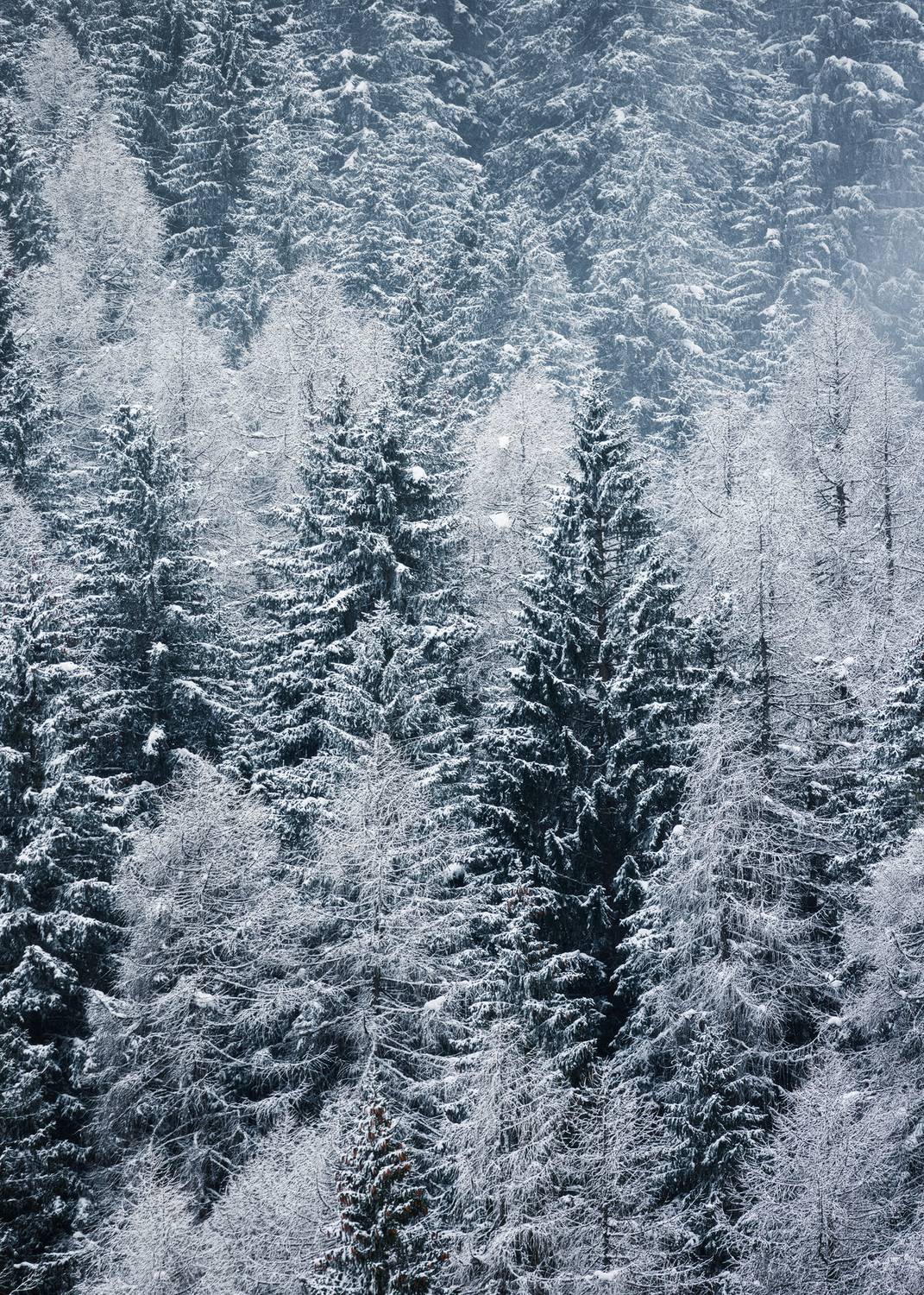 , Сергей Быков