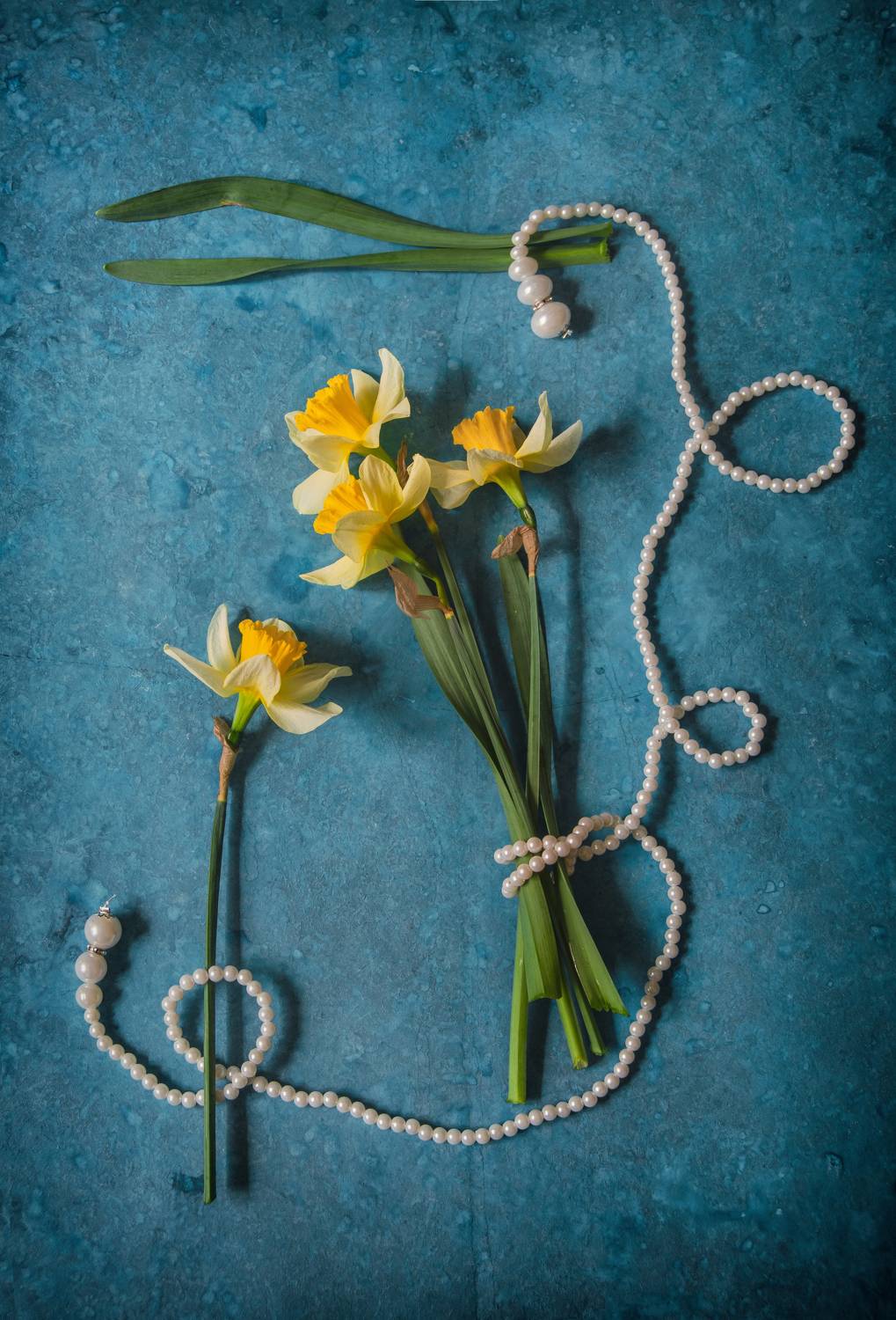 Нарциссы, натюрморт, цветы, весенние цветы, Shadow Anna