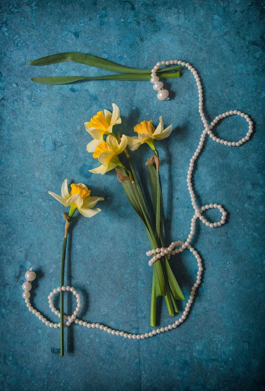 О нарциссах фото превью