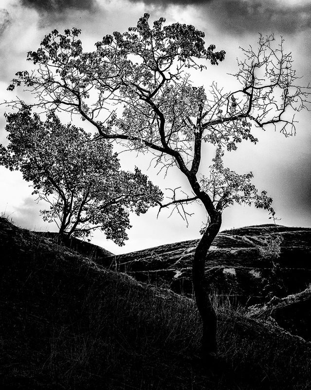 Фото.Графика. фото превью