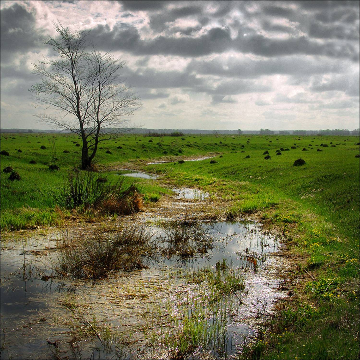 , Тарасов Алексей