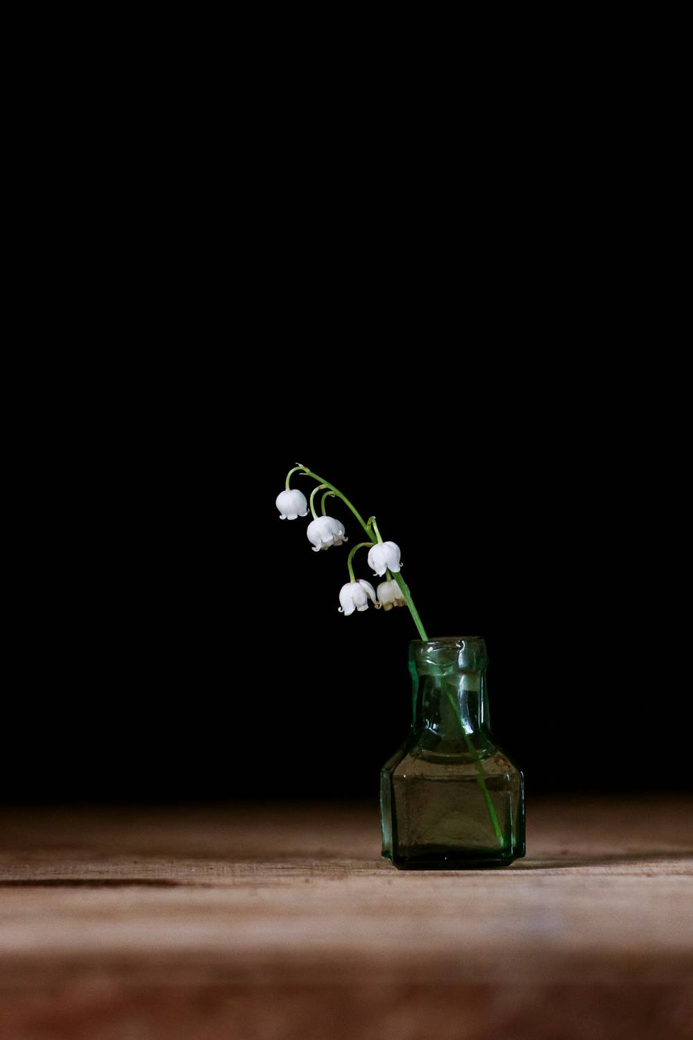 , Чепрасова Мария