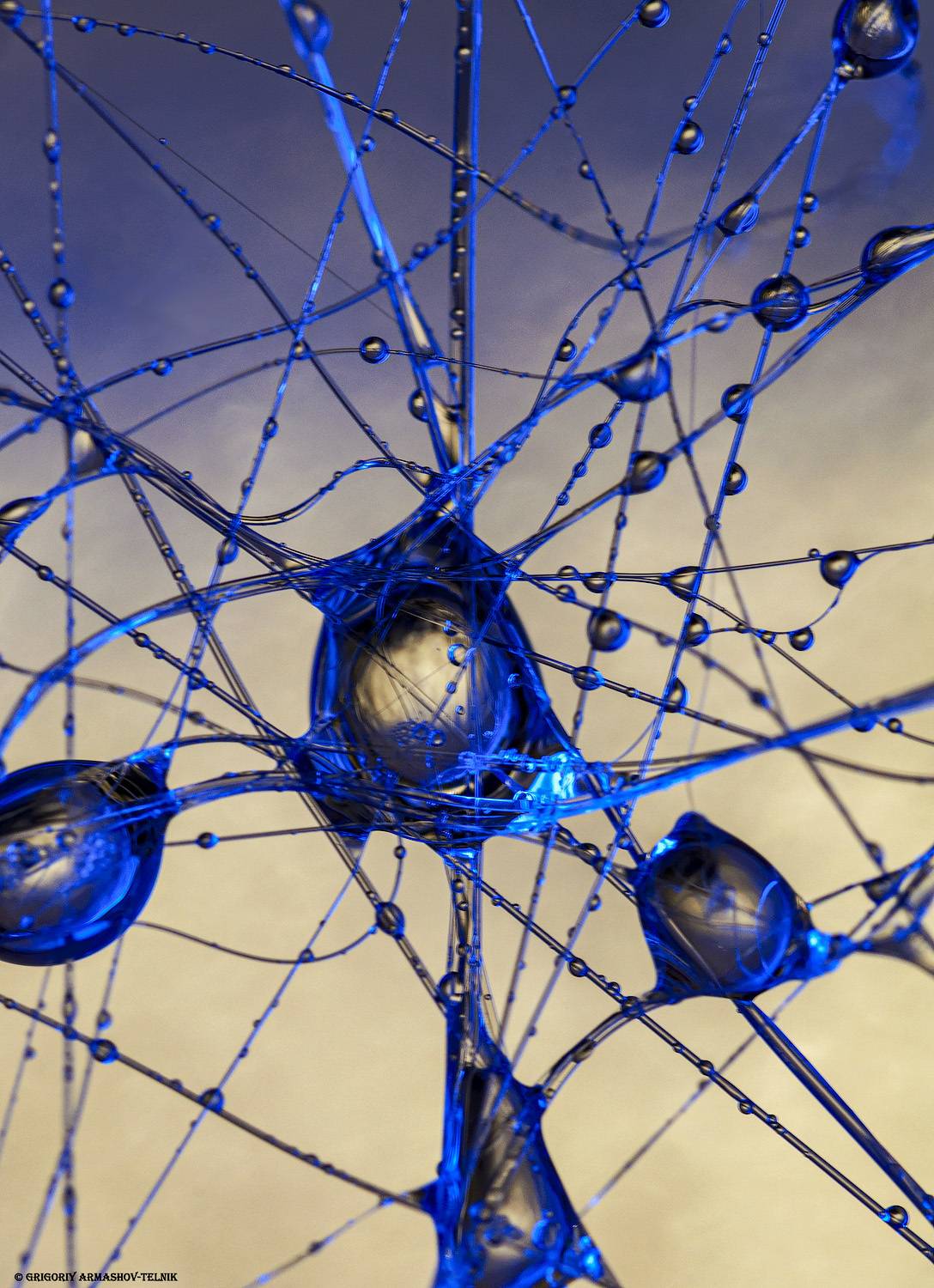 liquid, water, macro, drops, web, Армашов-Тельник Григорий