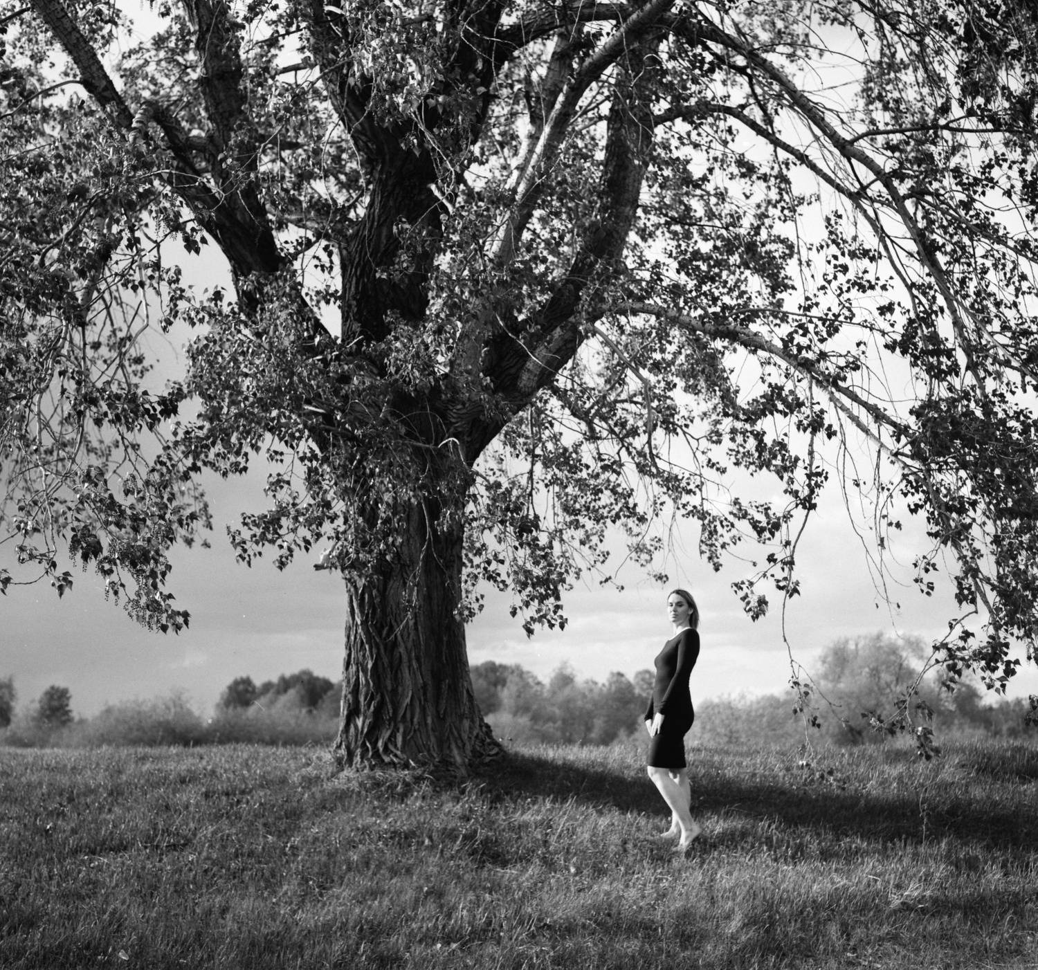 плёнка, дерево, закат, девушка, чб, film, bnw, spring, medium format, средний формат, M&oslash;rkt