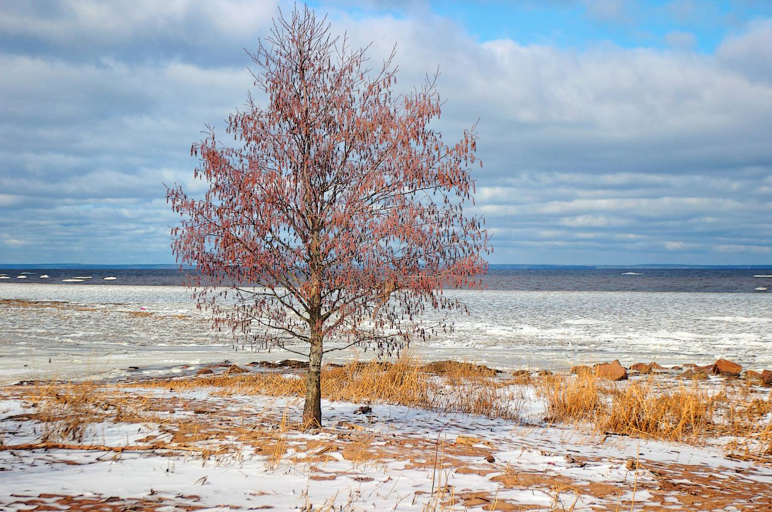 , Сергей Григорьев