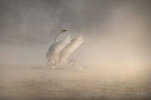 Мир на двоих