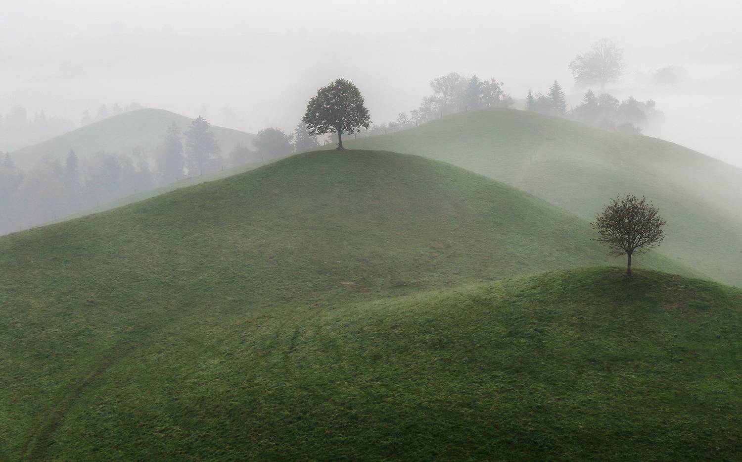 швейцария, Галина Хвостенко