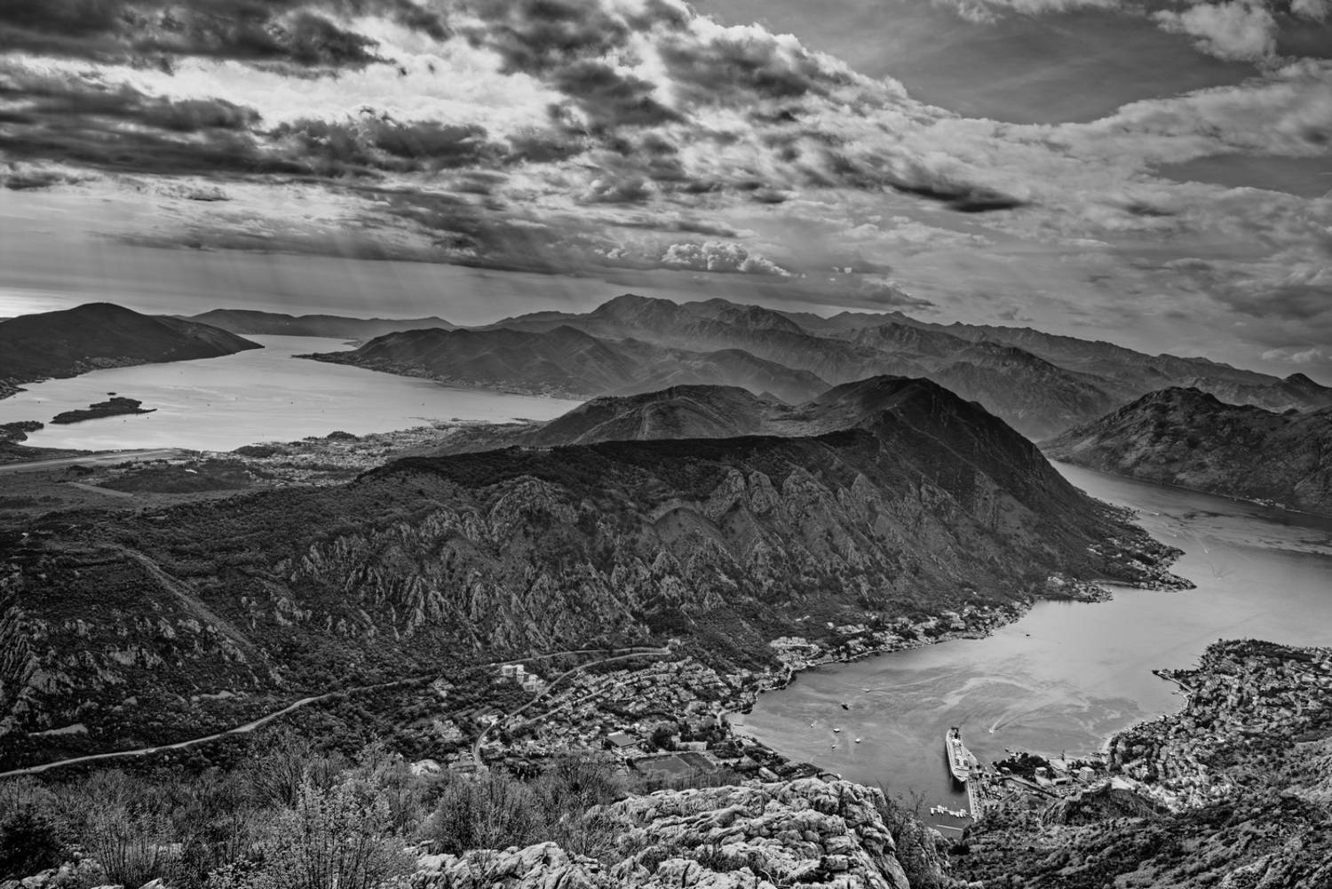 , David Solodar