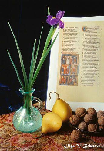 Натюрморт с орехами, тыквами и ирисом