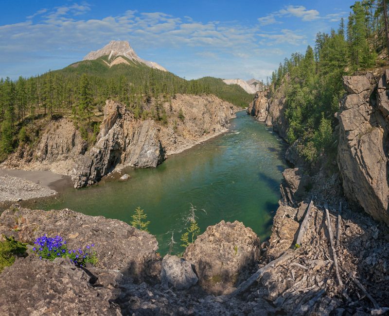 Солнечный день Омулевки. фото превью