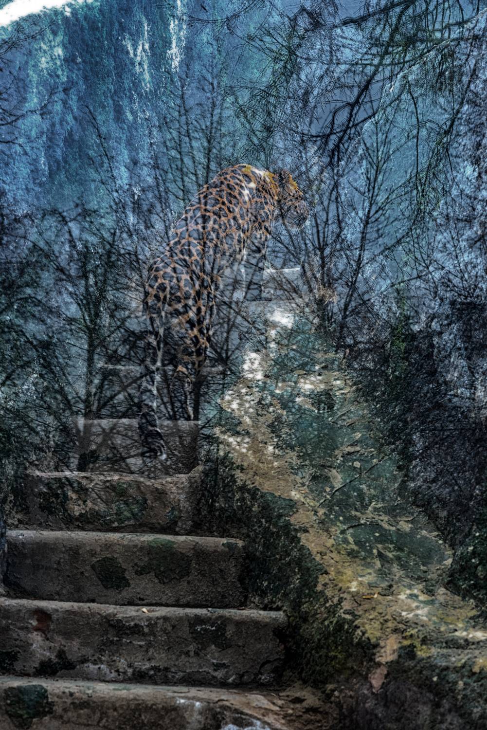 , Анастасия Думинская