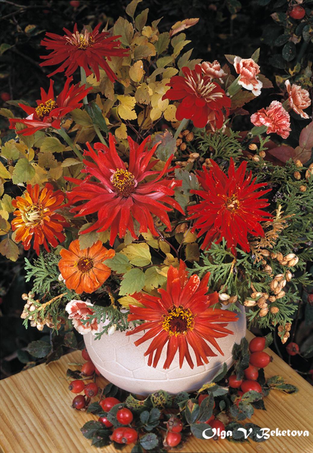 цветы, шиповник, циннии, Бекетова Ольга