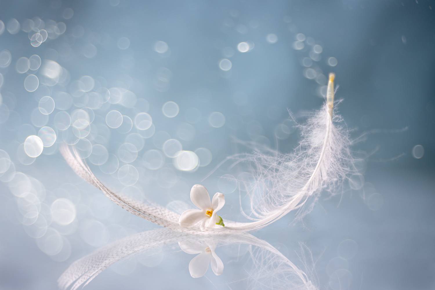 close-up, Игорь Копцев