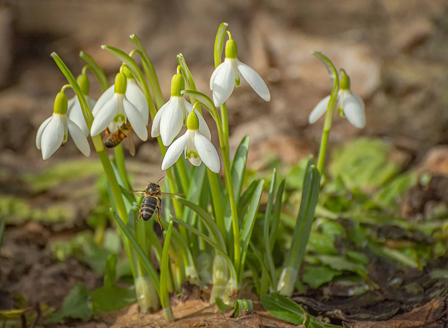 , Анатолий Зверев