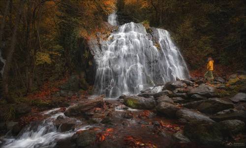 Слезы Земли