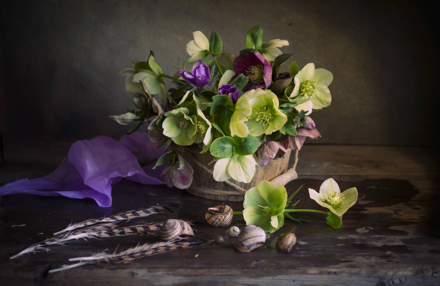 цветы, весна, улитки, морозник, Зимина Лионелла