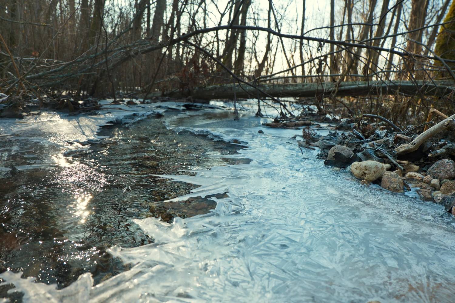 витебская область, лосвидо, весна, ручей, Виктор Гурков