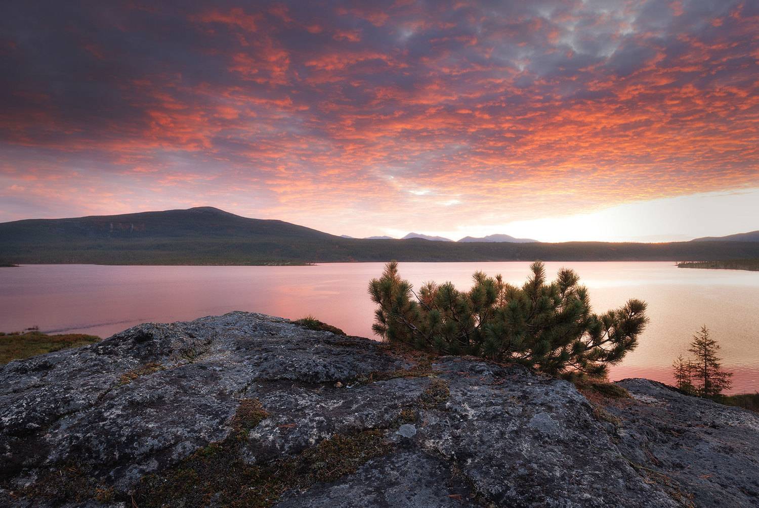 , Морозов Сергей