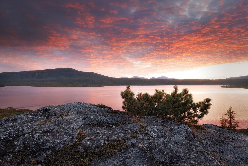 Утро на озере Джека Лондона фото превью