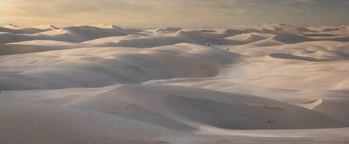 ПЛАНЕТА ДЮНА