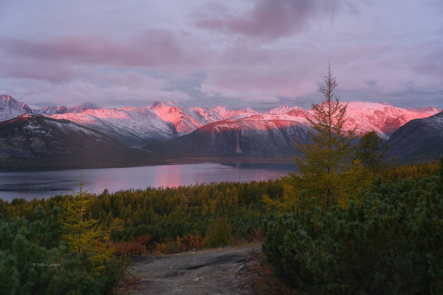 колыма, озеро джека лондона, тайга, магаданская область, тундра, Юлия Лаптева