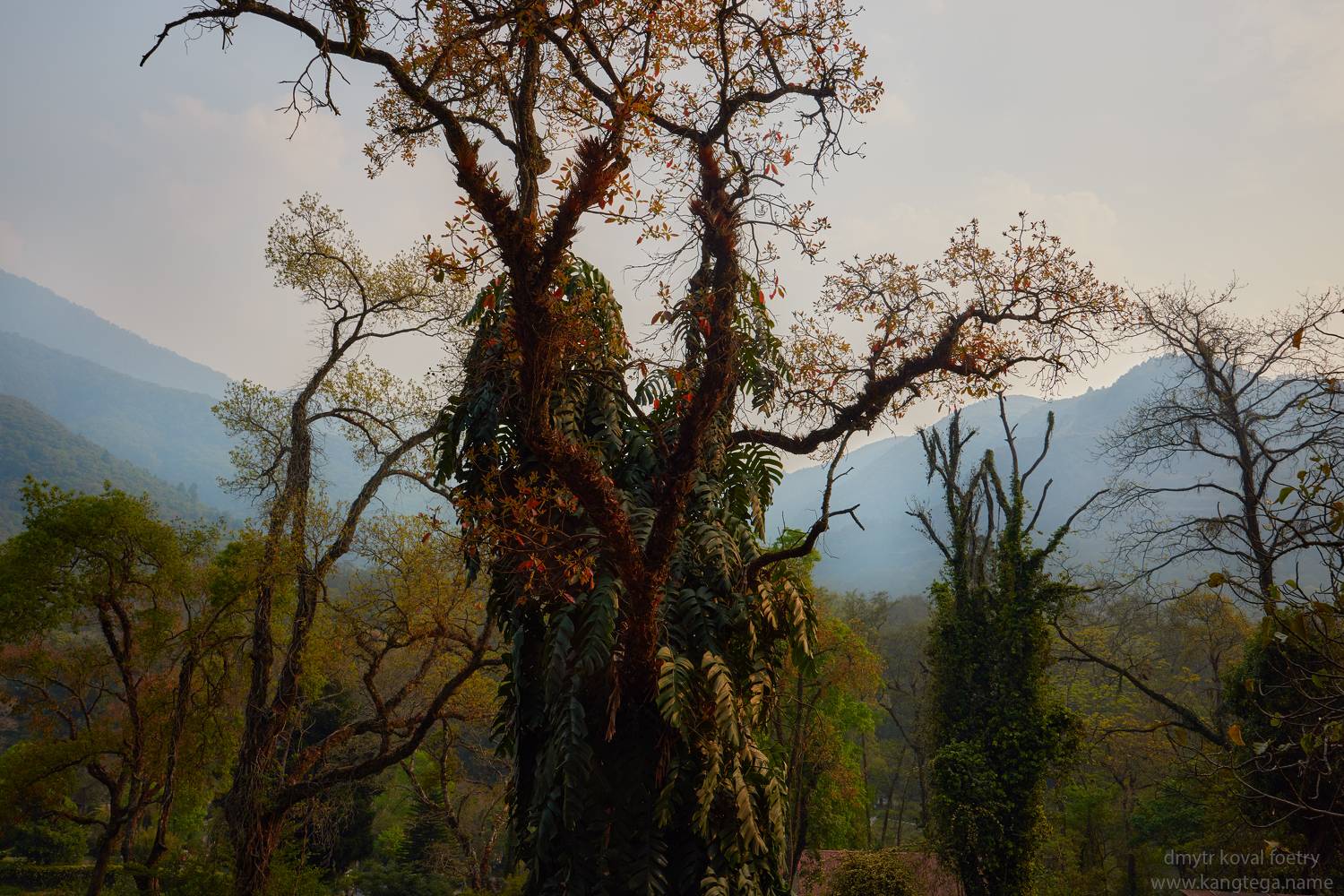 , Коваль Дмитр