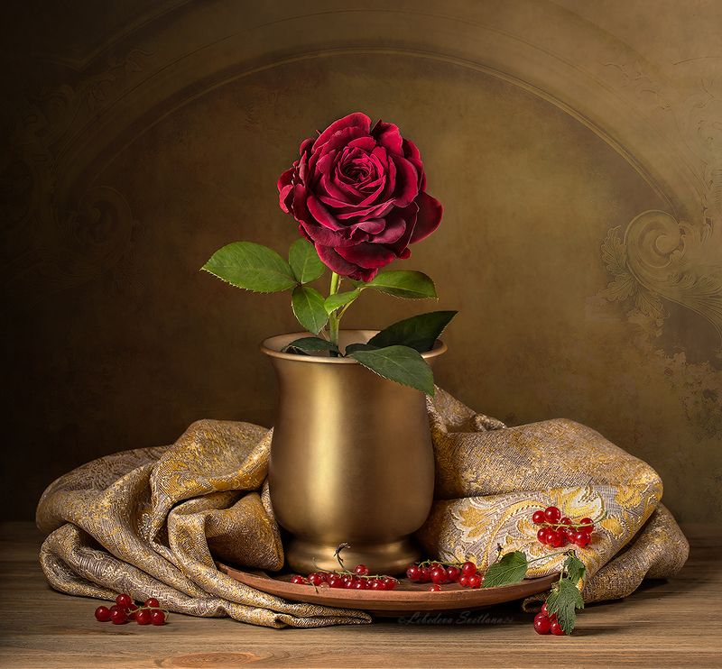 роза,цветок С бордовой розой фото превью