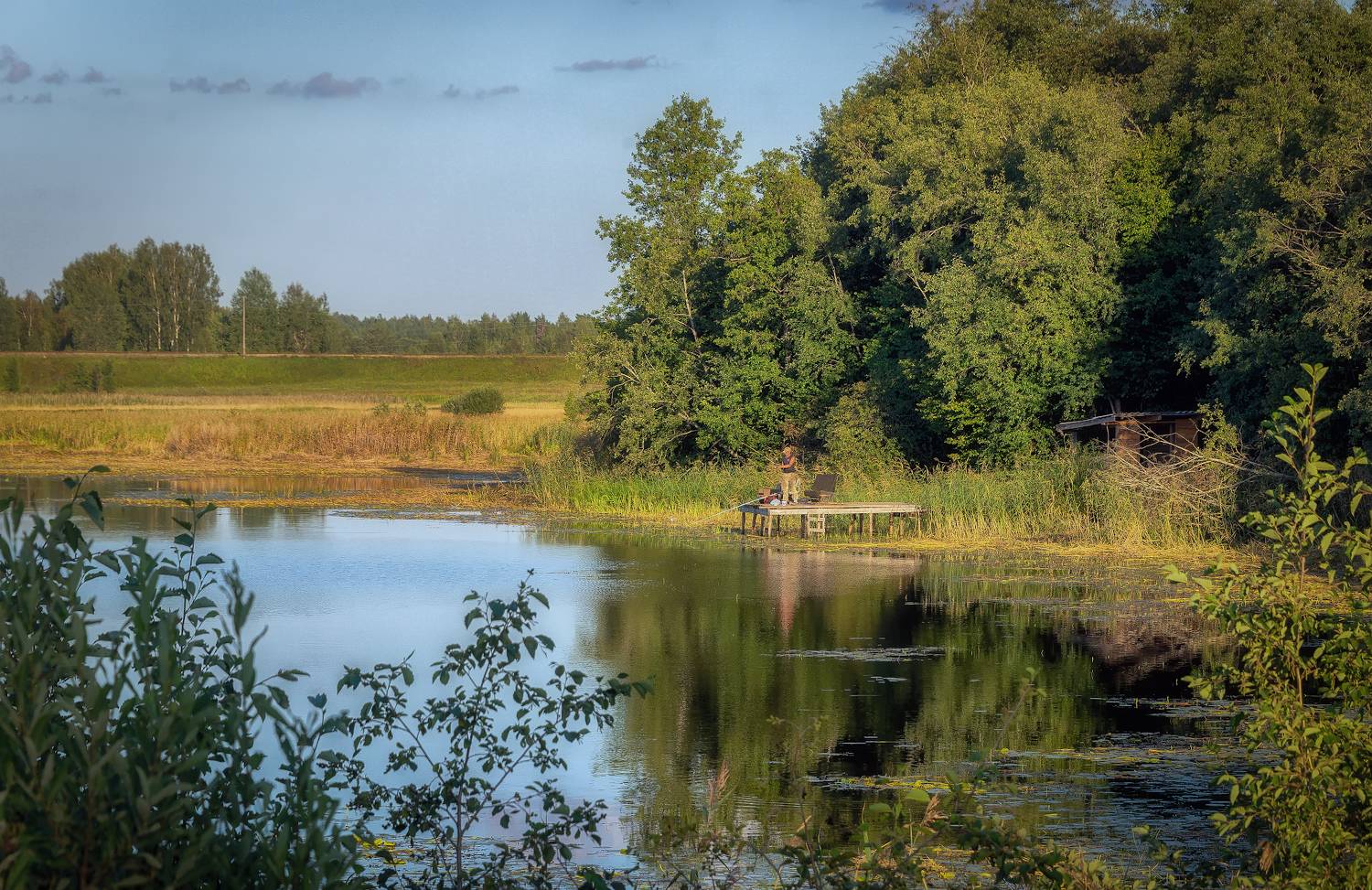 рыбак, озеро, лето, мостик, Сергей Аникин