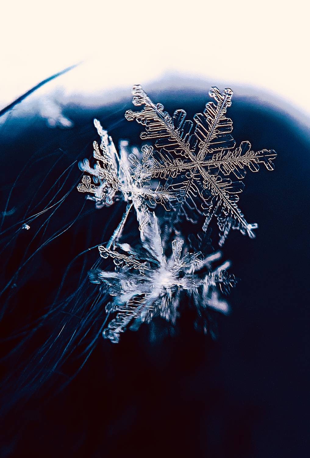 , Наталья Шумилова