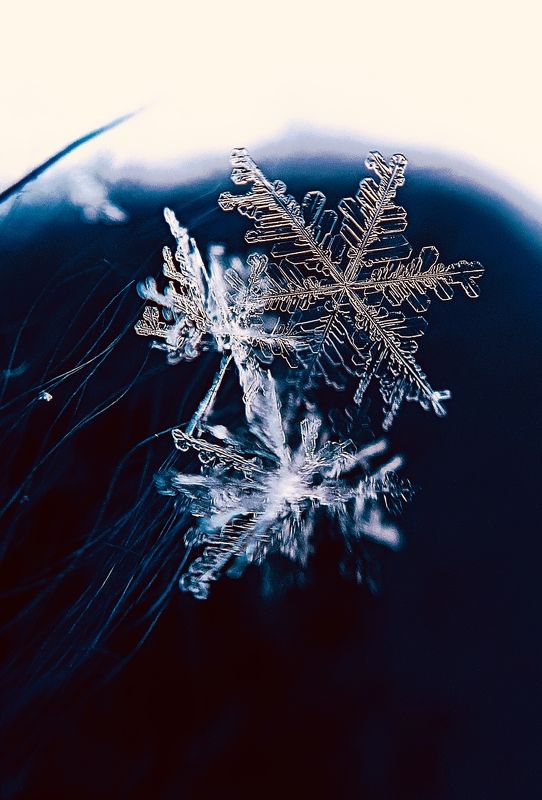 Хрустальные фото превью