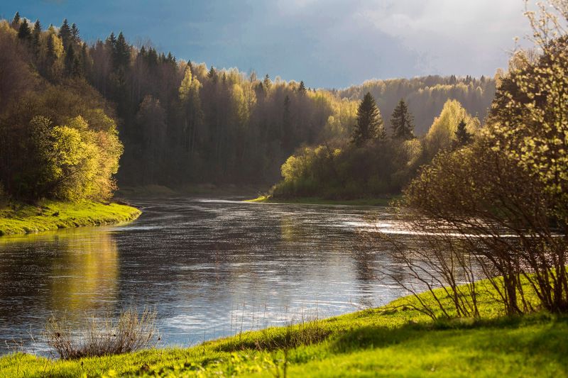 Зеленый шум фото превью