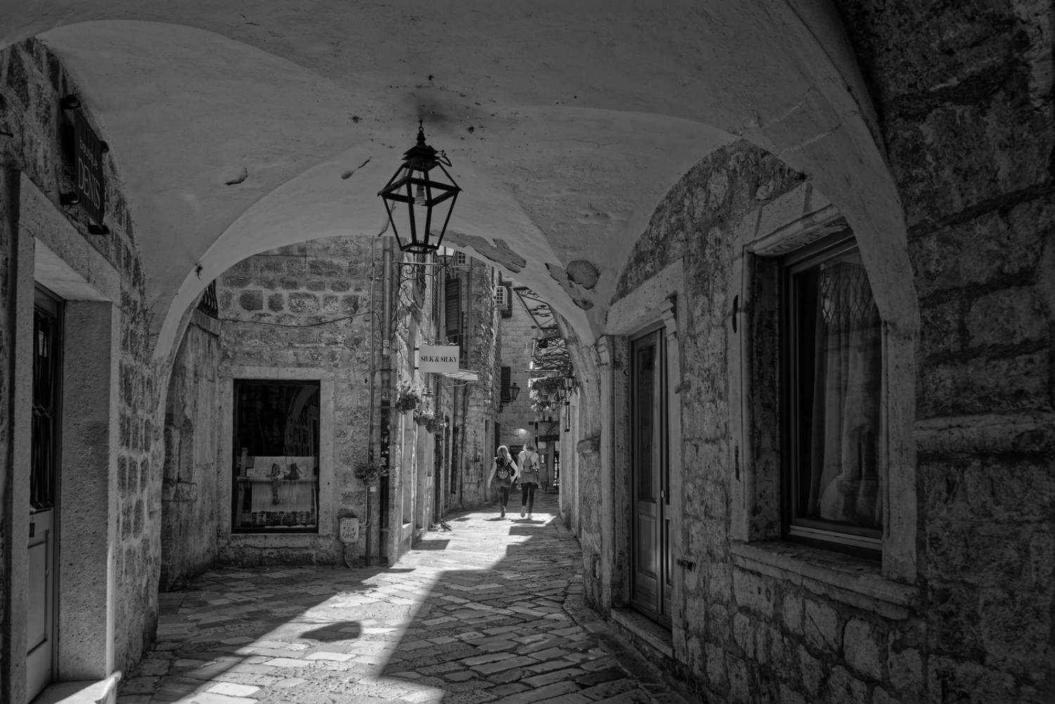 , David Solodar