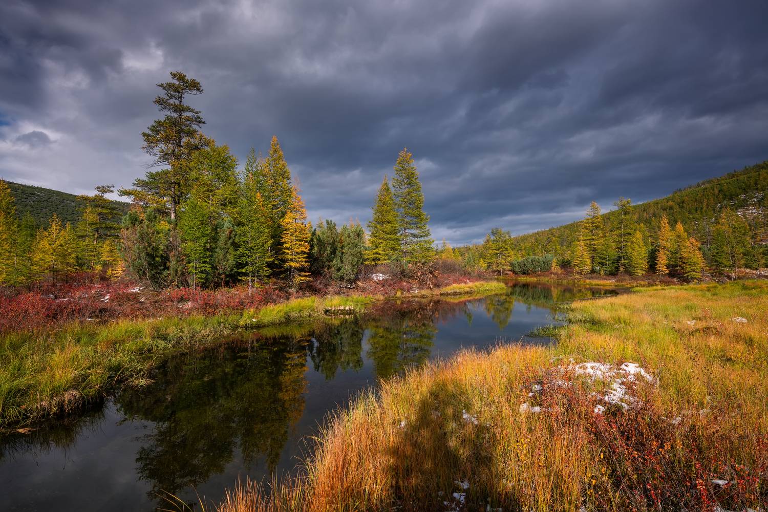 , Максим Евдокимов