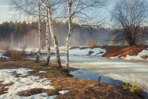 Весна. Серково.