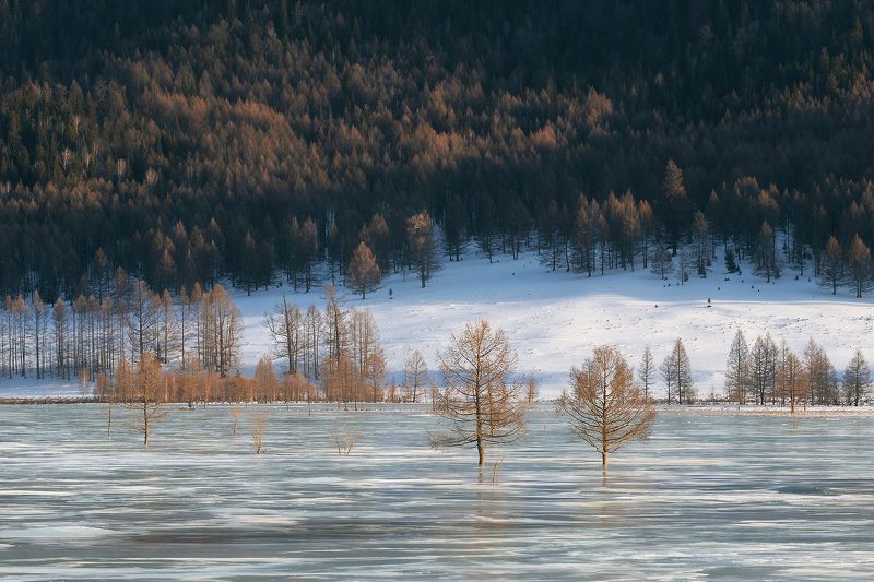 алтай, горный алтай, лед, усть-кан  фото превью