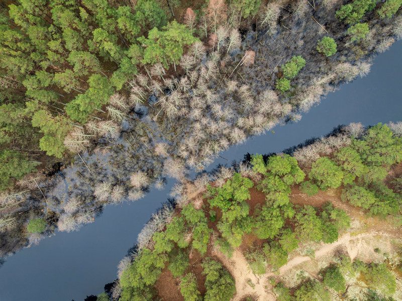 Апрель фото превью