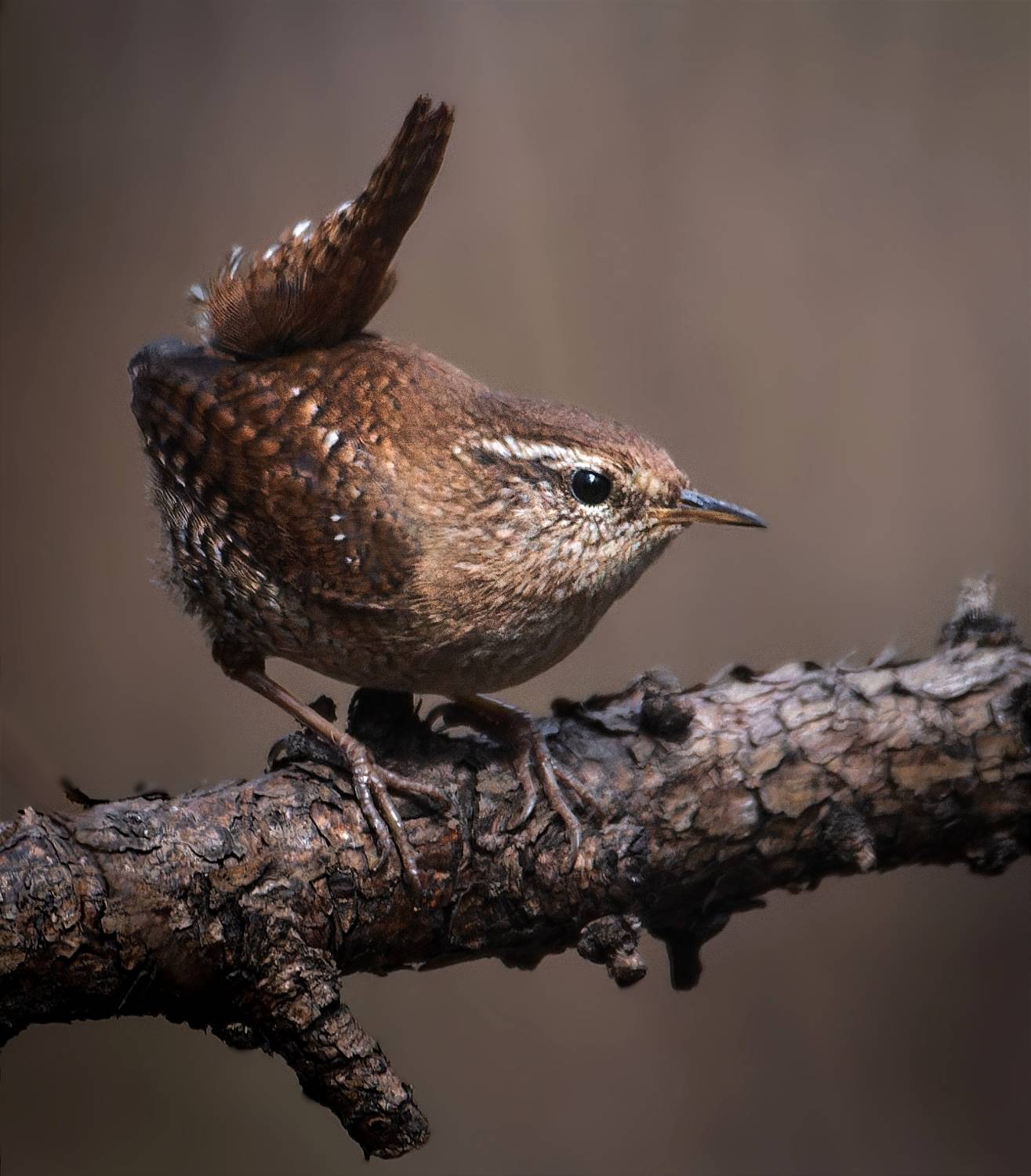, Фото Александр