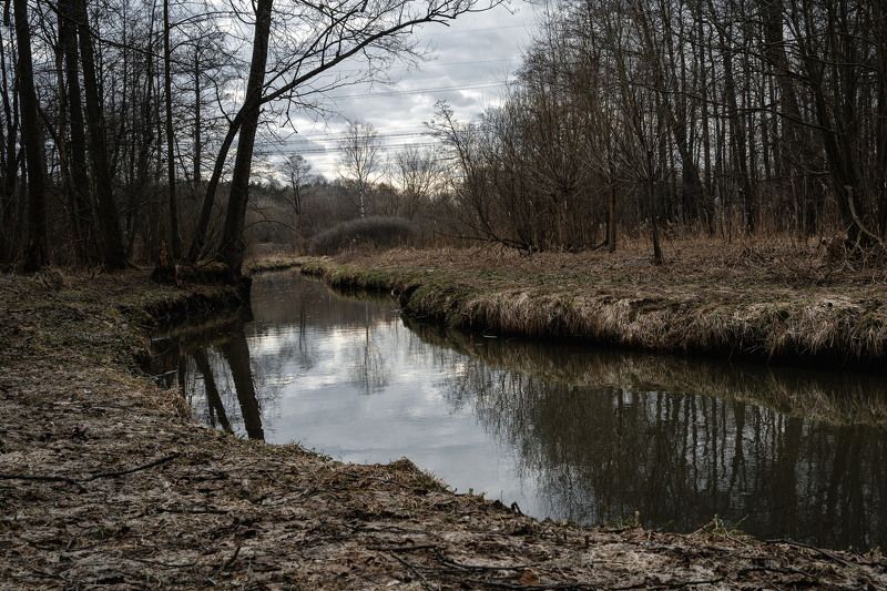 Кузьминки. Апрель. фото превью
