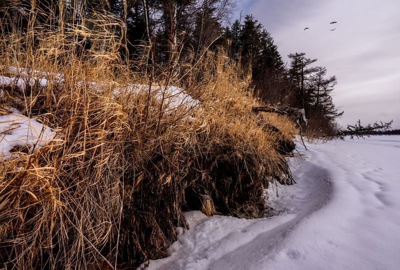 Зима отступает фото превью